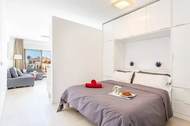 Stüdyo, 1 Yatak Odası, Balkon