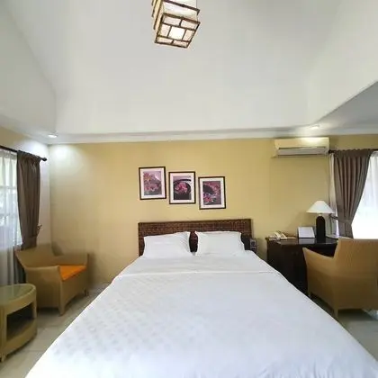 Deluxe Tek Büyük Yataklı Oda