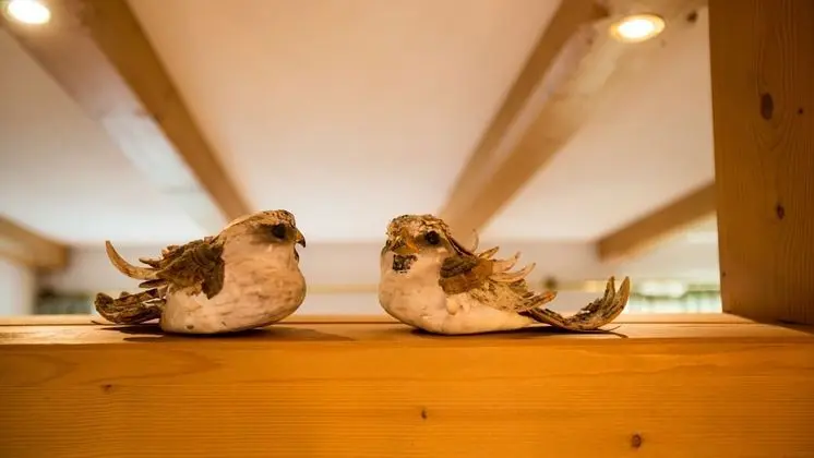 Deluxe Süit (Junior)