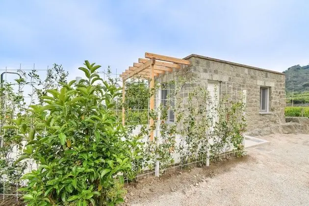 Apart Daire, Deniz Manzaralı (Belvedere)