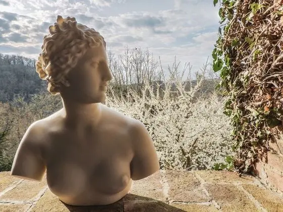 Exclusive Tek Büyük Yataklı Oda, 1 En Büyük (King) Boy Yatak, Veranda