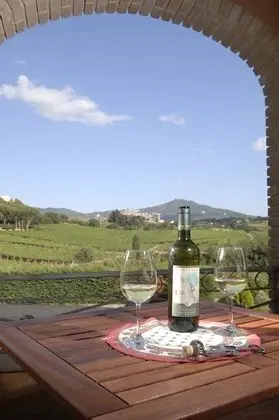 Superior Tek Büyük Yataklı Oda, Bahçe Manzaralı