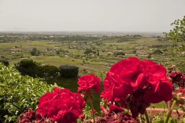 Üç Kişilik Oda, Bahçe Manzaralı