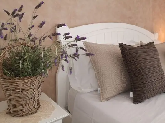 Superior Üç Kişilik Oda, 1 Büyük (Queen) Boy Yatak, Üzüm Asması Manzaralı