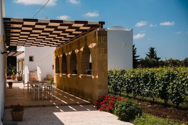 Superior Üç Kişilik Oda, 1 Büyük (Queen) Boy Yatak, Üzüm Asması Manzaralı