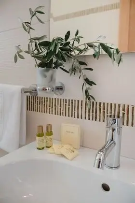 Superior Üç Kişilik Oda, 1 Büyük (Queen) Boy Yatak, Üzüm Asması Manzaralı