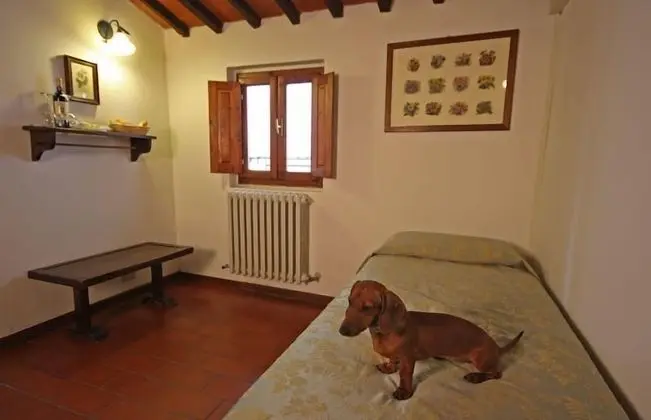 Junior Süit, 1 Yatak Odası, Bahçe Manzaralı, Bahçeli