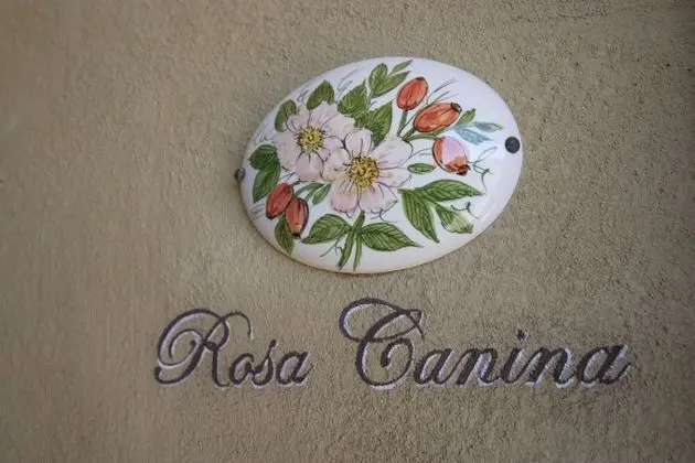 Classic Tek Büyük Yataklı Oda, Teras