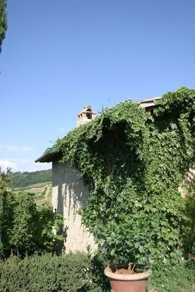 Apart Daire, Sigara İçilebilir