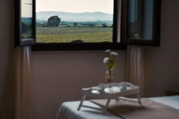 Standard Tek Büyük veya İki Ayrı Yataklı Oda, 1 Çift Kişilik Yatak