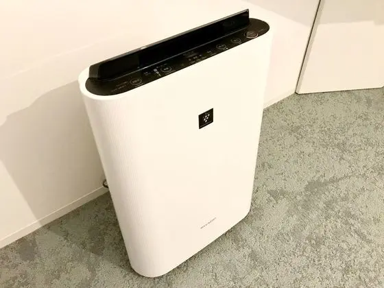 Tek Büyük Yataklı Oda, Sigara İçilebilir