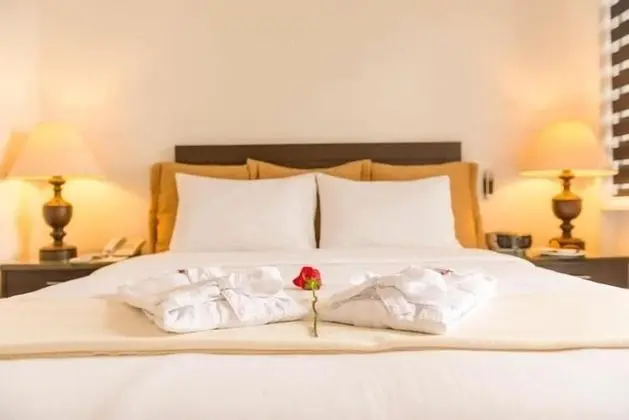 Superior Tek Büyük Yataklı Oda