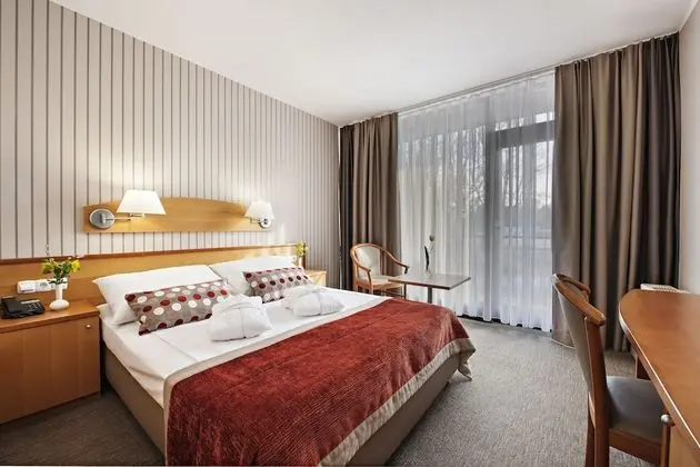 Economy Tek Büyük Yataklı Oda, Balkon