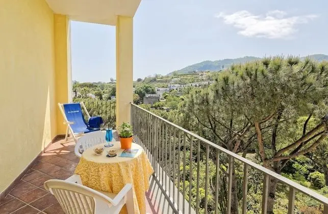 Superior Tek Büyük veya İki Ayrı Yataklı Oda