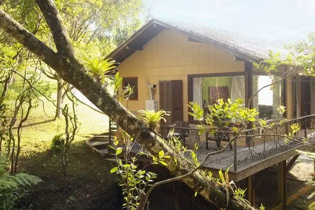 Deluxe Dağ Evi
