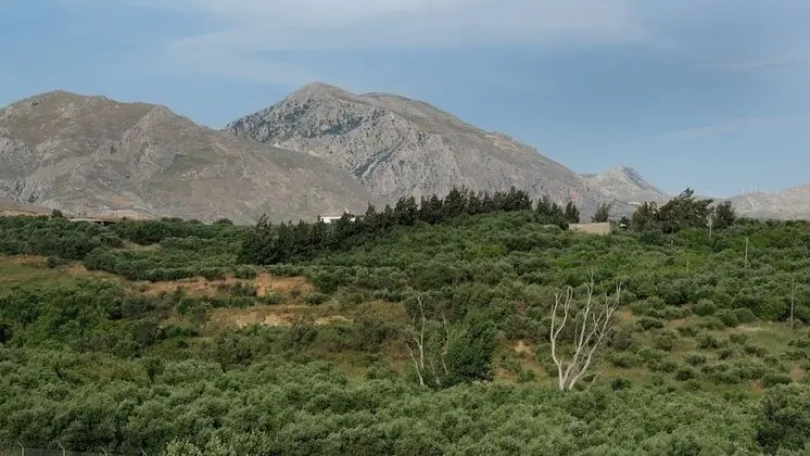 Villa, 5 Yatak Odası, Kişiye Özel Havuzlu