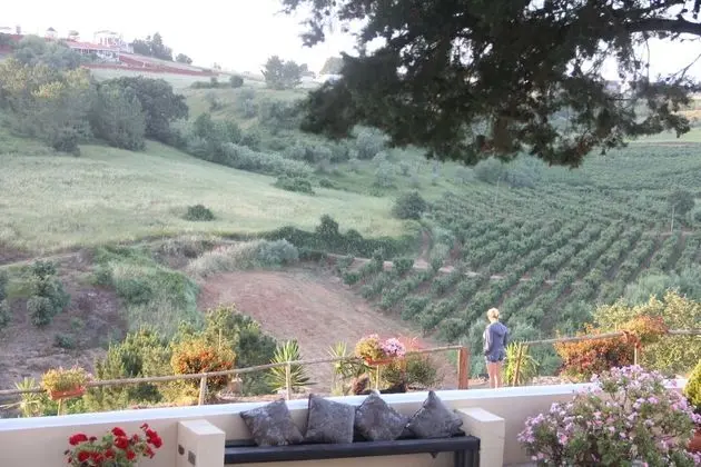 Basic Tek Büyük Yataklı Oda, Tepe Manzaralı (2)