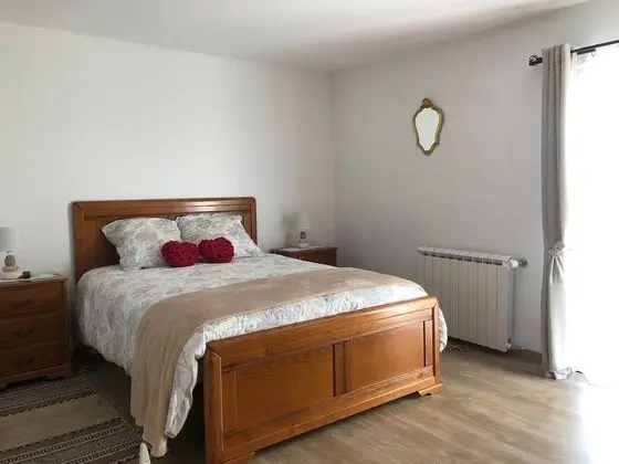 Tek Büyük Yataklı Oda, Bahçe Manzaralı (5)