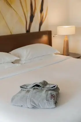 Superior Tek Büyük veya İki Ayrı Yataklı Oda, Bahçe Manzaralı