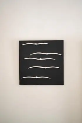 Luxury Süit, 1 En Büyük (King) Boy Yatak, Jakuzi