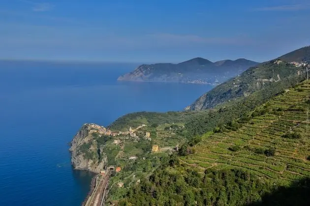 Luxury Süit, 1 En Büyük (King) Boy Yatak, Jakuzi