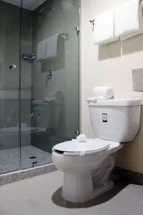 Standard Oda, 1 Büyük (Queen) Boy Yatak