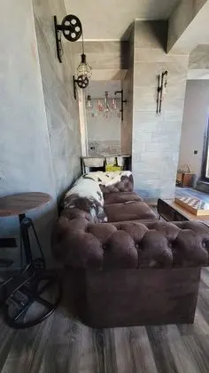 Panoramic Çatı Katı Süiti (Penthouse)