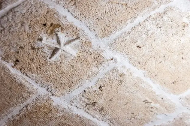 Basic Oda, 1 Büyük (Queen) Boy Yatak, Özel Banyo