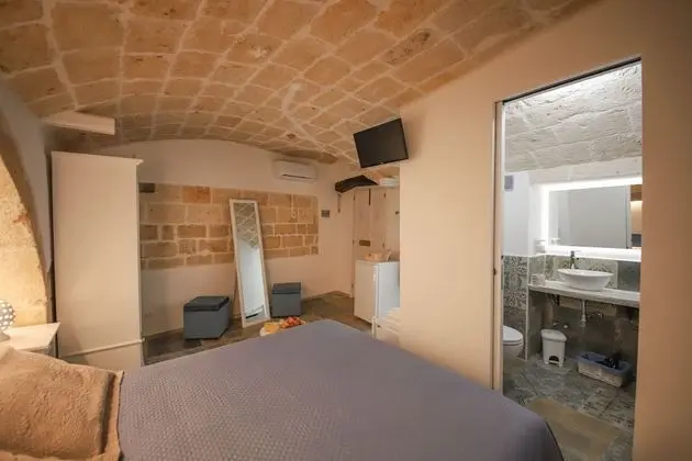 Basic Oda, 1 Büyük (Queen) Boy Yatak, Özel Banyo