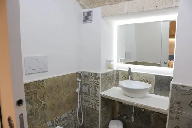 Basic Oda, 1 Büyük (Queen) Boy Yatak, Özel Banyo