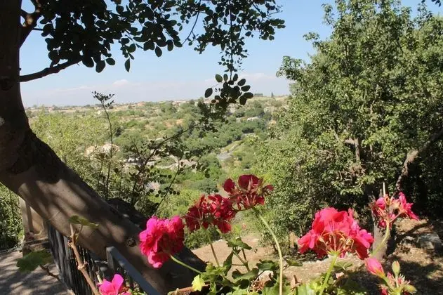 Economy Villa, 2 Yatak Odası, Park Manzaralı
