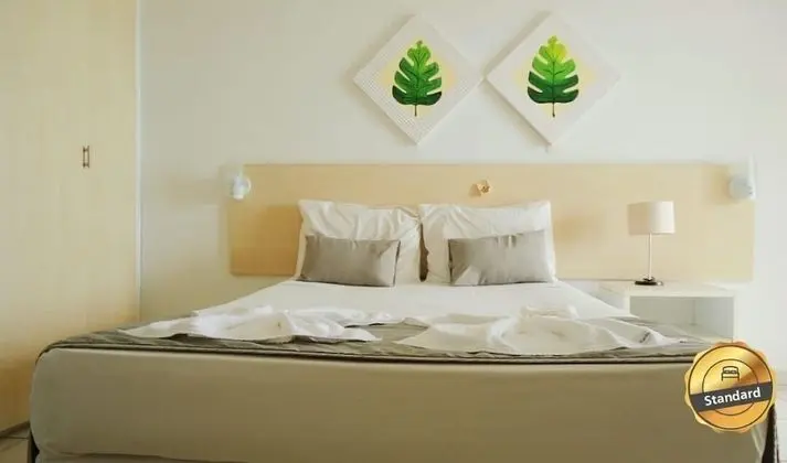 Standard Büyük Yataklı Tek Kişilik Oda, Bahçeli