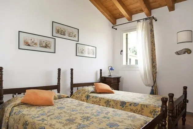 Comfort Ev (Corbezzolo)