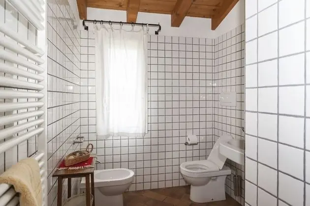 Comfort Ev (Corbezzolo)