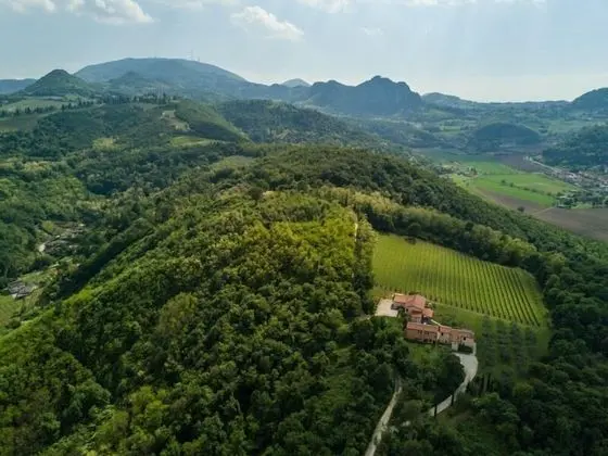 Comfort Ev (Corbezzolo)