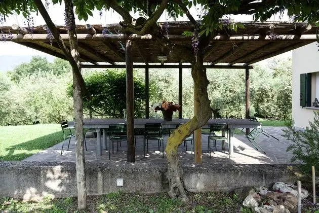 Comfort Ev (Corbezzolo)
