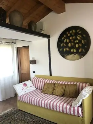 Comfort Ev (Lepre)