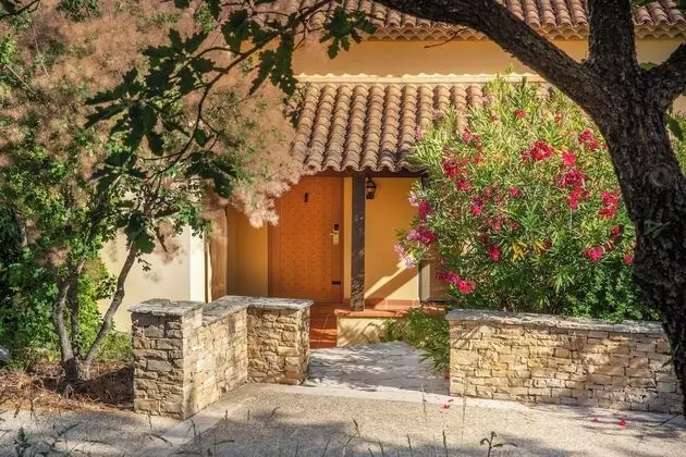 Premier Süit (King)