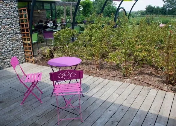 Executive Oda, Engellilere Uygun, Bahçe Manzaralı