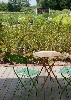 Executive Oda, Engellilere Uygun, Bahçe Manzaralı