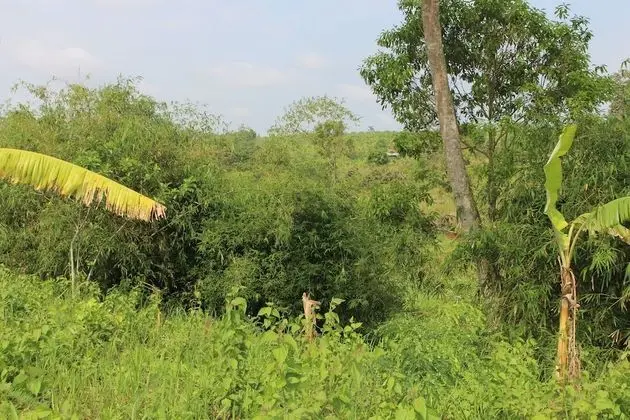 Classic İki Ayrı Yataklı Oda, 2 Tek Kişilik Yatak, Sigara İçilmez, Dağ Manzaralı
