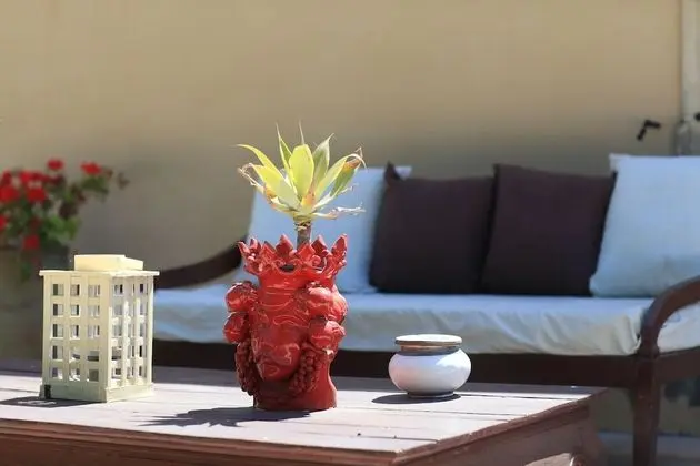 Standard Oda (Mandorlo)