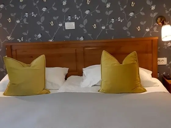 Comfort Room BIRDS
