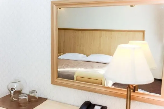 Comfort Tek Büyük Yataklı Oda, 1 Büyük (Queen) Boy Yatak, Sigara İçilmez, Şehir Manzaralı