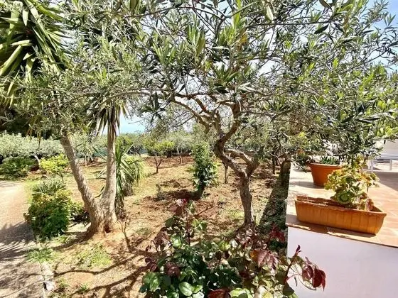 Apart Daire, Sigara İçilebilir