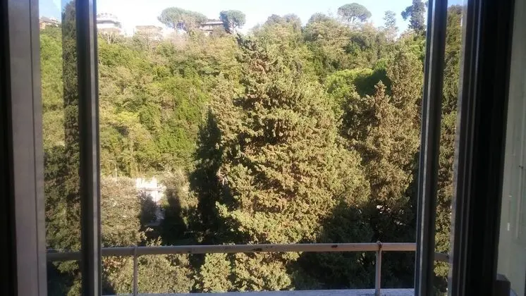 Comfort Oda, 1 Yatak Odası, Mutfak, Şehir Manzaralı