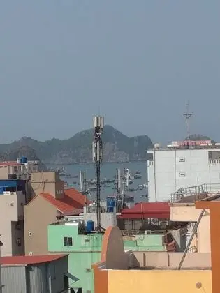 Dört Kişilik Oda