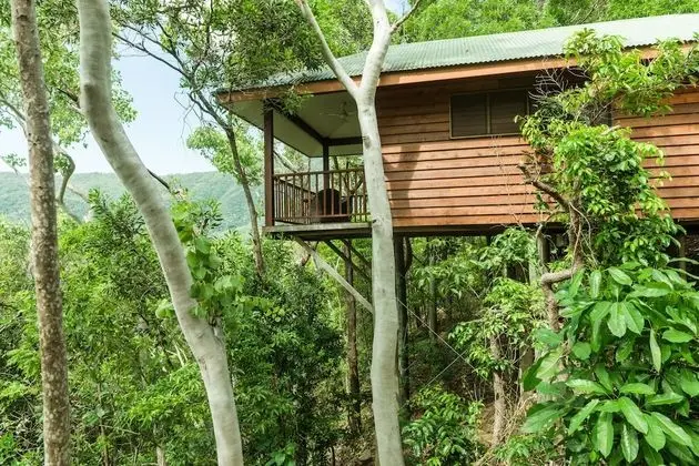Bungalov (Eucalypt)