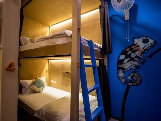 4-Bed Mixed Dormitory
