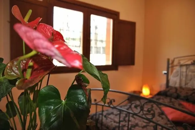 Villa, 4 Yatak Odası, Sıcak Su Havuzu